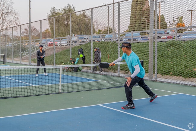 Head over to DeForest Park for a game of Pickleball.