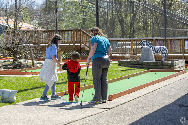 Check out the Putt Putt Fun Center, a mini golf course right in downtown Hollins.