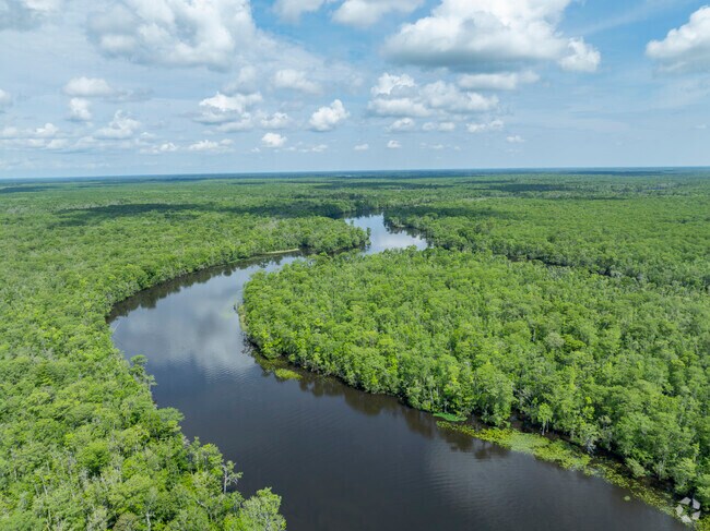 The Waccamaw National Wildlife Refuge  surrounds the Cypress River Plantation area to the North and makes for a beautiful natural backdrop.