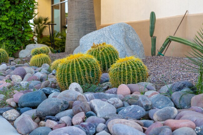 Nature's canvas comes alive at Shadow Hills Country Club.