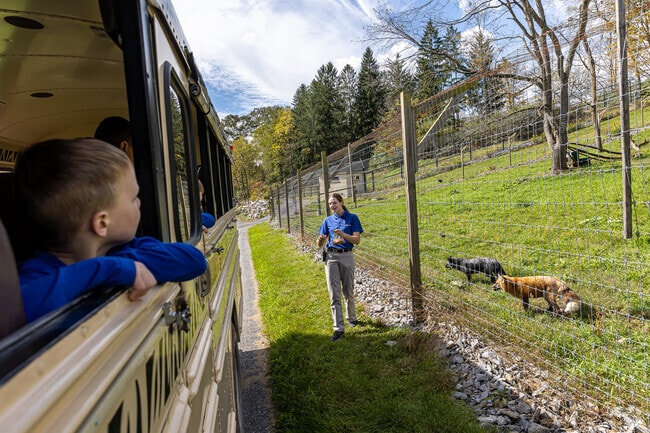 Penn's Wildlife Park introduces visitors to animals like their grey and red foxes.