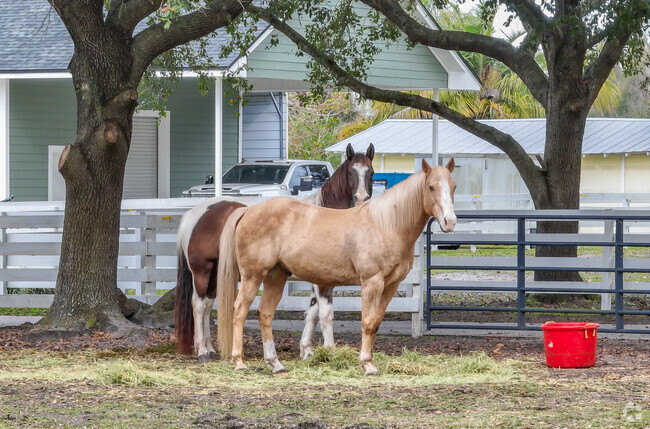 Wekiva Springs is well known for it's Equestrian community.