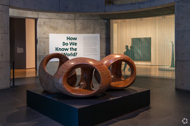 The Baltimore Museum of Art (BMA) 