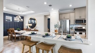 3861 Consolare Ct, Wesley Chapel, FL 33543