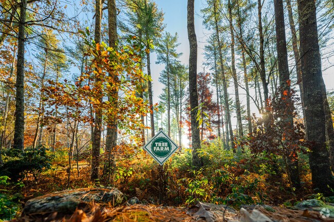 Forestry and forest management are a major export for the area throughout West Greenwich.