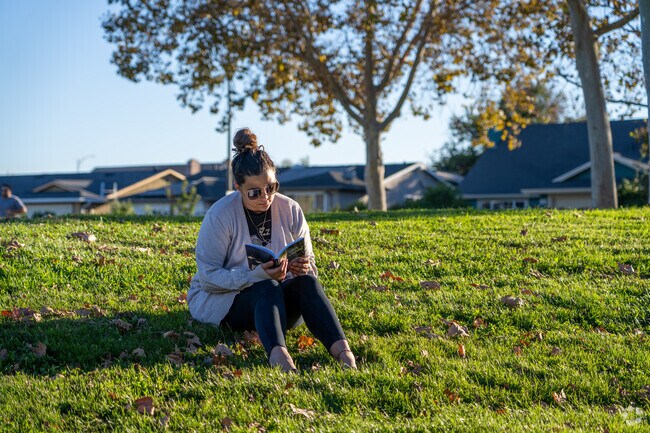 Peaceful moments await at Dove Hill Park, perfect for reading in serene surroundings.