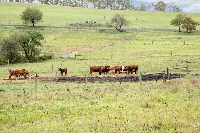 Farmland is abundant in White, creating a peaceful rural setting for homes and recreation.