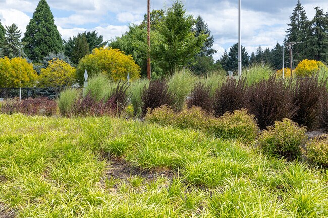 Stunning landscaping frames Nikkei Park in Image, adding beauty to every stroll