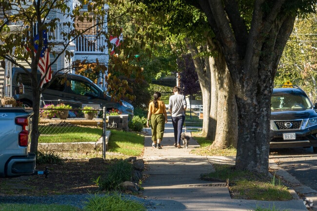 Community comes alive with furry friends and their humans taking leisurely walks in Riverside.