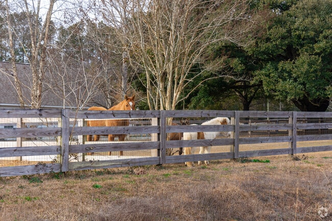 Irvington properties offer space for horses and barns.