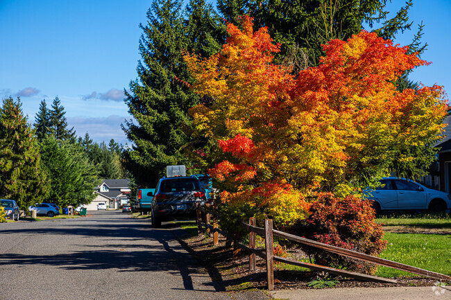 Beautiful Fall Colors in the Graham Neighborhood.
