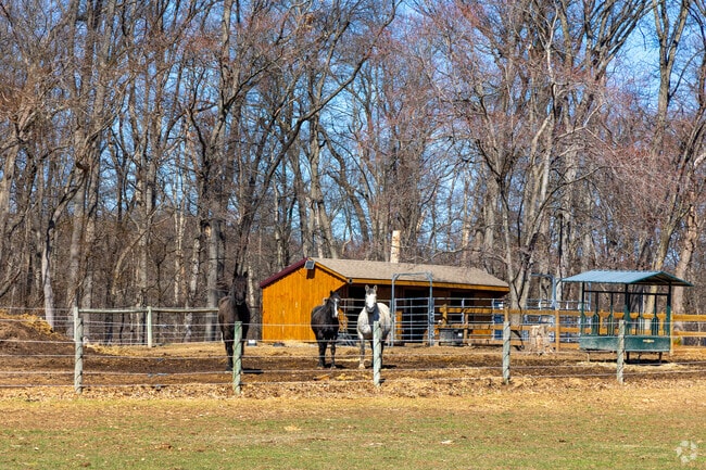 Delaware Township Hunterdon boasts a rich equestrian history, known for horse breeding and riding since the 18th century.