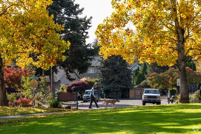 Take your pup for a walk in Jack Park.