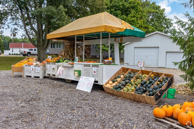 Pick up some produce at B's Farm stand in Southeast.