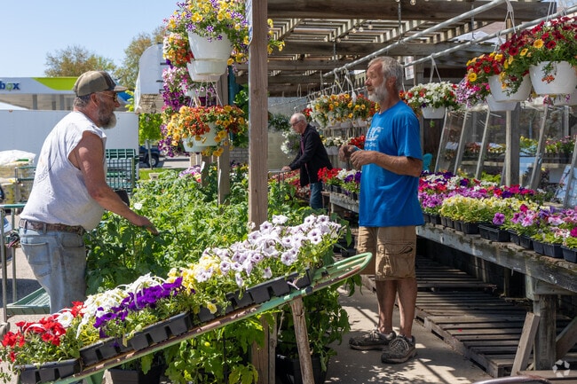 The home garden selection inside Treasured Gardens in Pearl Beach is plentiful.