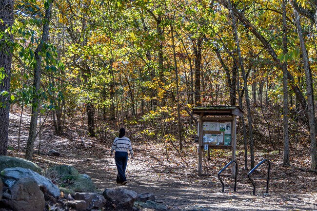 Enjoy a stroll through the forest trails at Whipple Hill in Countryside.