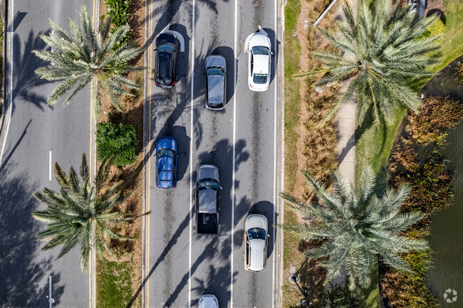 Palm trees line streets of Prairie Lake and neighborhoods near by.