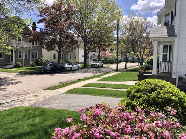 The Neighborhood (facing South)