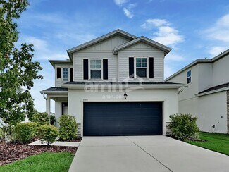 4309 Hollow Stump Run, Palmetto, FL 34221