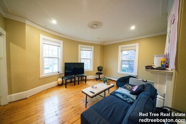 135 St Alphonsus St unit 2, Boston, MA 02120 - photo 7