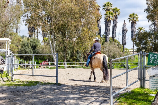 Learn to ride a horse at the Peter Weber Equestrian Center in Rolling Hills, CA.