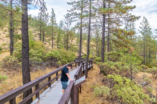 You can learn about all types of plant life at Eight Dollar Mountain Botanical Wayside.