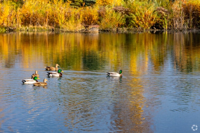 Relax and watch the ducks swim around in the pond in the Fellow Creek Subdivisions.