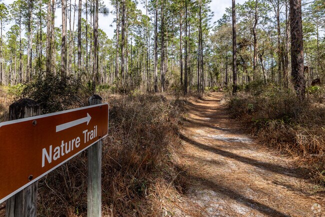 There are many outdoor things to do in Waycross, among them is hiking the trails at Laura S Walker State Park.