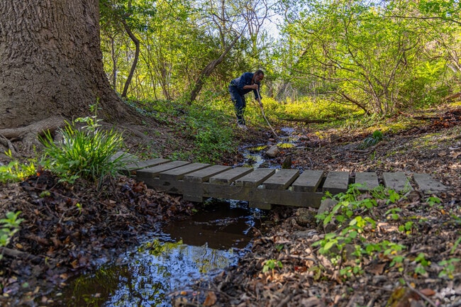 Springfield Woods has a natural freshwater stream that runs through the entire green space.