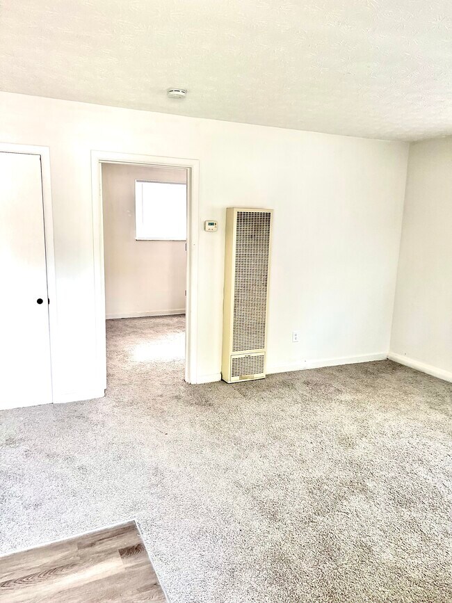newly carpeted living room with closet storage