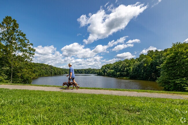 Your pups will love long walks around the Lake Bernard Frank Trail.