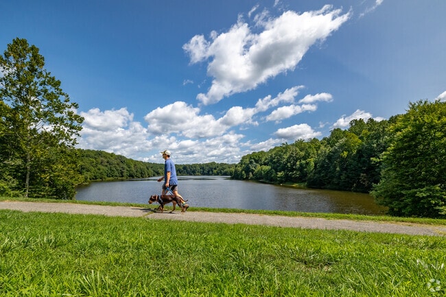Your pups will love long walks around the Lake Bernard Frank Trail.