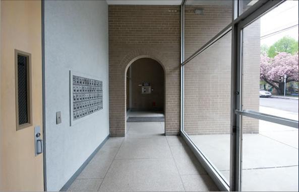 125 Chiswick Rd unit 504, Brighton, MA 02135 - photo 3