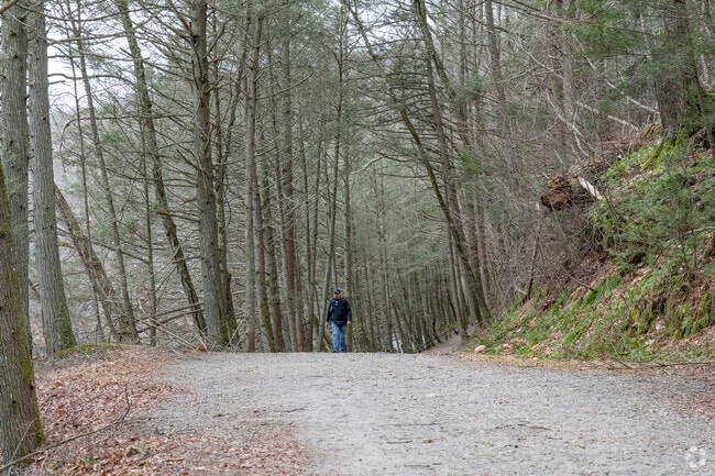 Tunnel Road leads to the Van Ingel Trail and Steep Rock Preserve railroad tunnel in Washington.