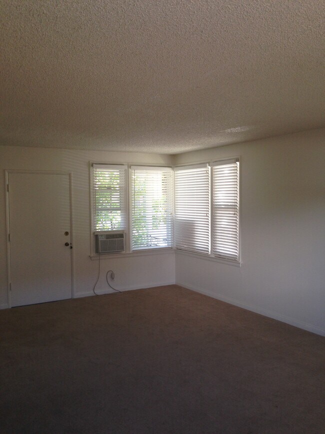 Living Room and Balcony door
