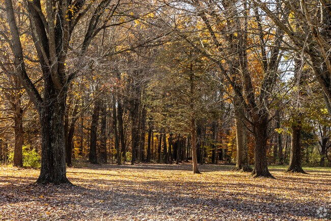 Just a short drive from Goshen, enjoy a brisk hike at Stonelick State Park.