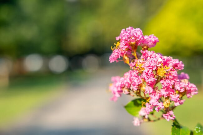 Elmwood Park in Penrose highlights natural beauty and community art.
