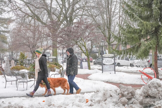 Take a brisk stroll with your dog in Southwest Geneva.