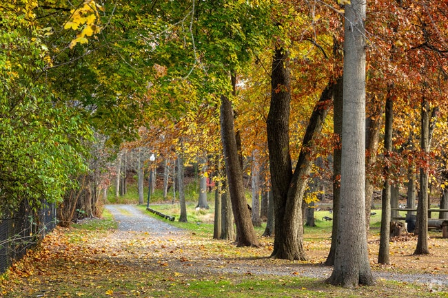 Watch the leaves change colors in Green Acres Park, North Plainfield, NJ.
