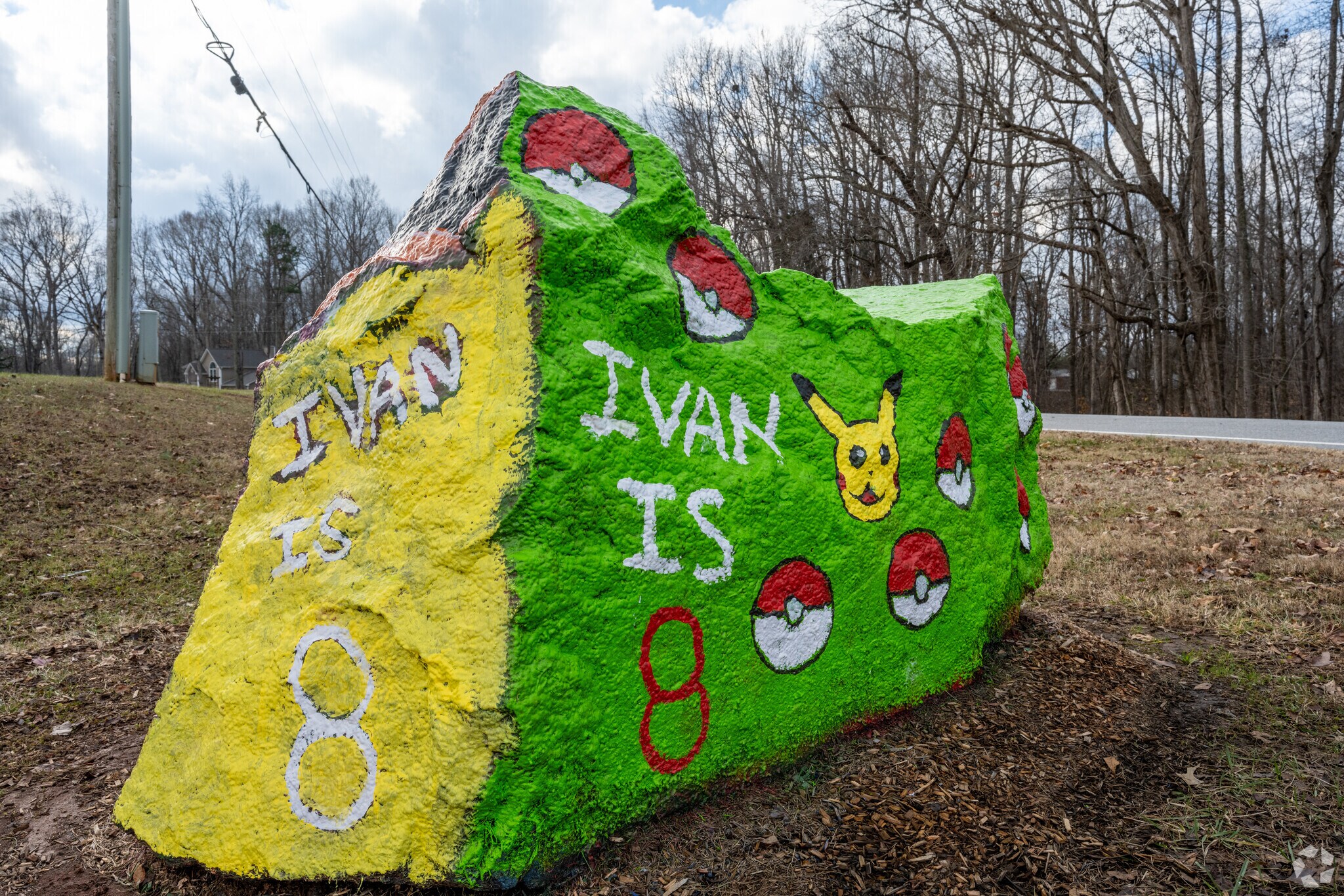 117 Windsong Rd Unit 202, Mocksville, NC 27028