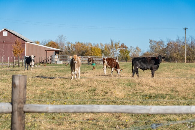 Classic farmhouse style seen in Kirkland’s older homes.