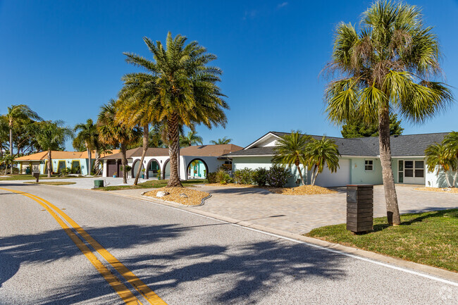 Lots of beautiful palm trees in the yards of homes in New Port Richey West.