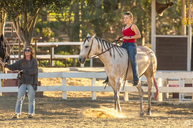 The Huntington Central Park Equestrian Center, just minutes from the Garfield neighborhood,  is a premier riding facility spanning 25 acres, offering scenic trails, professional lessons, and boarding services.