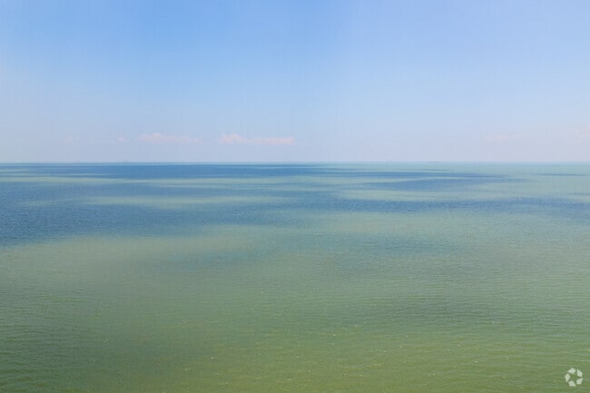 The Texas Gulf Coast is famous for its warm waters and amazing fishing.