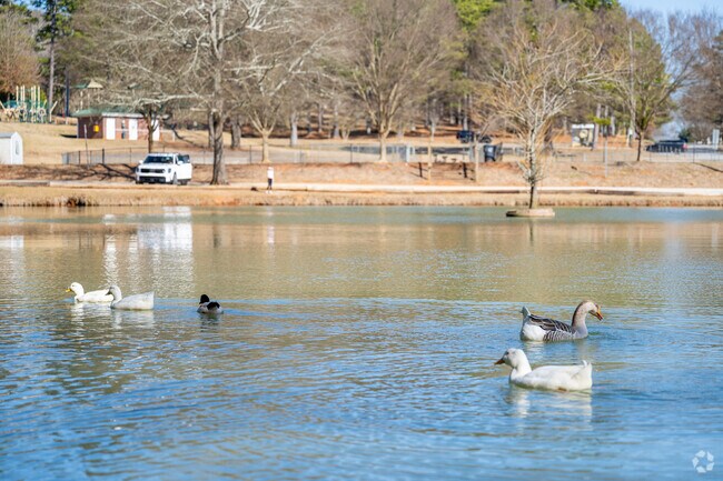 Visitors flock to Jefferson City Park to admire the lively ducks gliding gracefully across the shimmering pond while enjoying the breathtaking panoramic views of lush greenery and vibrant flowerbeds that surround the park.