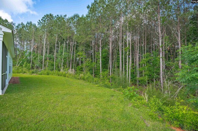 242 Caballeros Trail, Prosperity, SC 29127 - photo 7