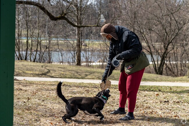 Halmich Park is an excellent place for dog owners to walk their pets.