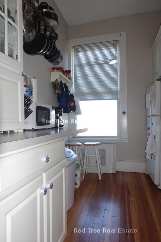 554 E 4th St unit 3, Boston, MA 02127 - photo 7