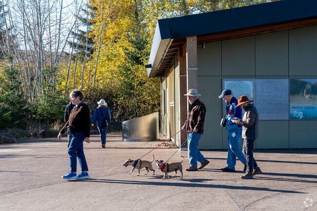 Powell Butte is an excellent location to take your dog for a walk.