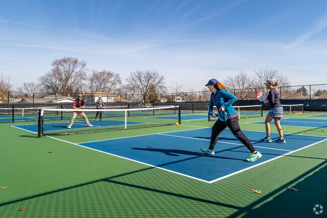Play a game of pickleball at one of several courts in Colonial Heights.